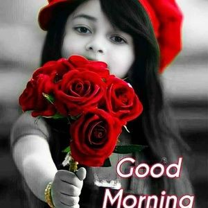 Meet your Posher, Vafia